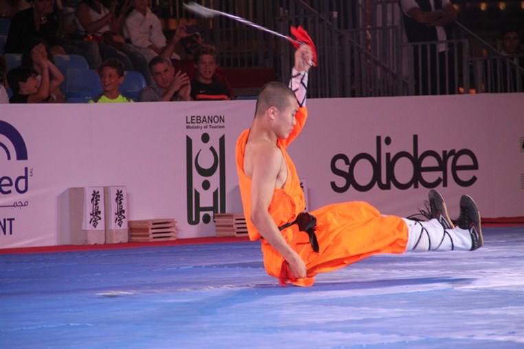 Martial Arts Festival